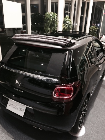 DS3 Cabrioご覧いただけます！