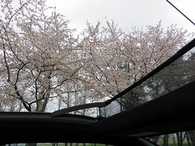 桜×DS 3 CABRIO