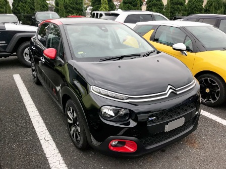 ＮＥＷ　Ｃ３　カラーサンプル！
