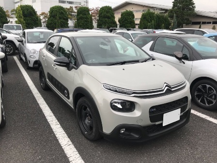 ＮＥＷ　Ｃ３　カラーサンプル！