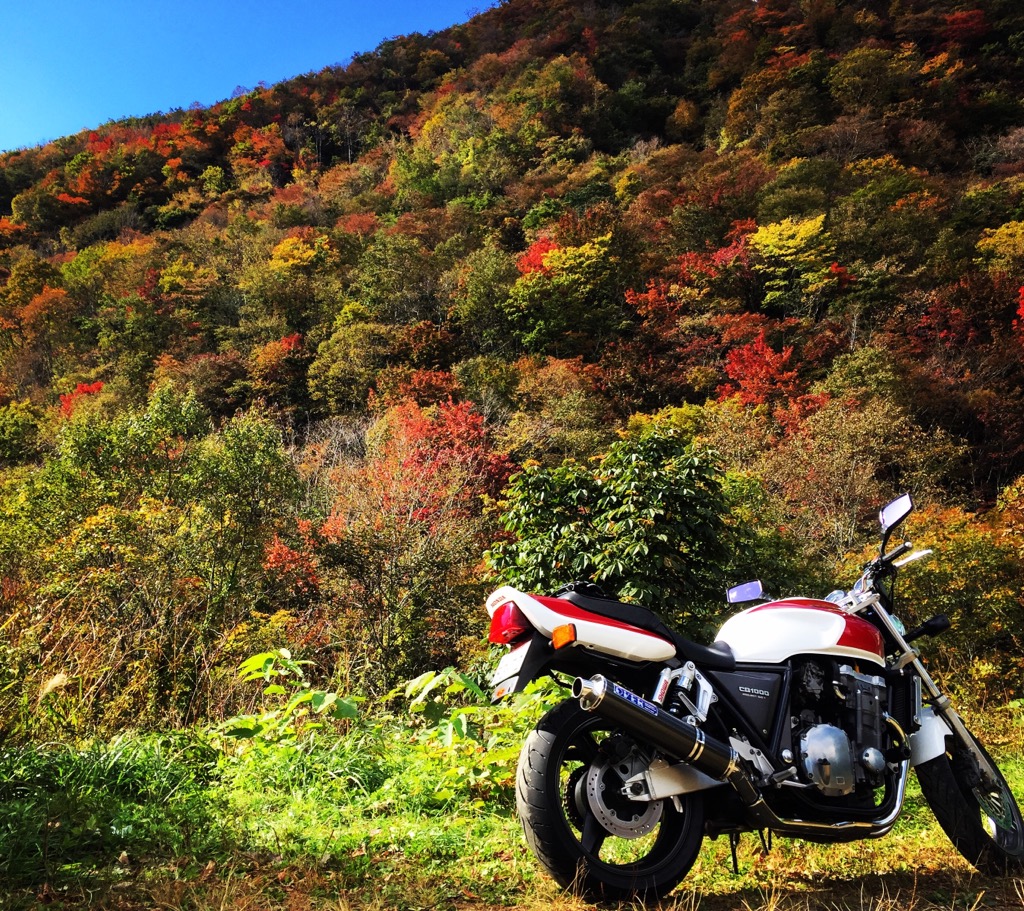 紅葉シーズン(^^♪