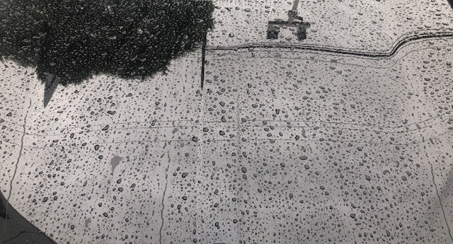 いよいよ梅雨の時期となってまいりました