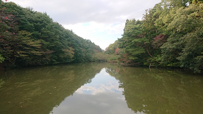 気になったら行動です